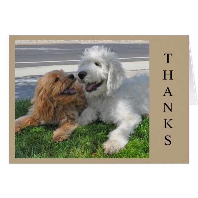 Cartão Dois amigos do cachorrinho de Goldendoodle! (Frente Horizontal)