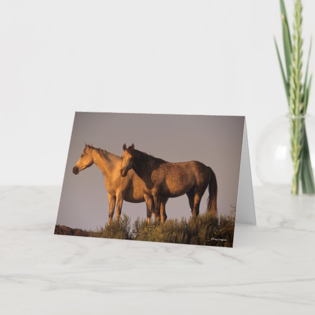 Cartão Dois árabes juntos à noite (Frente)