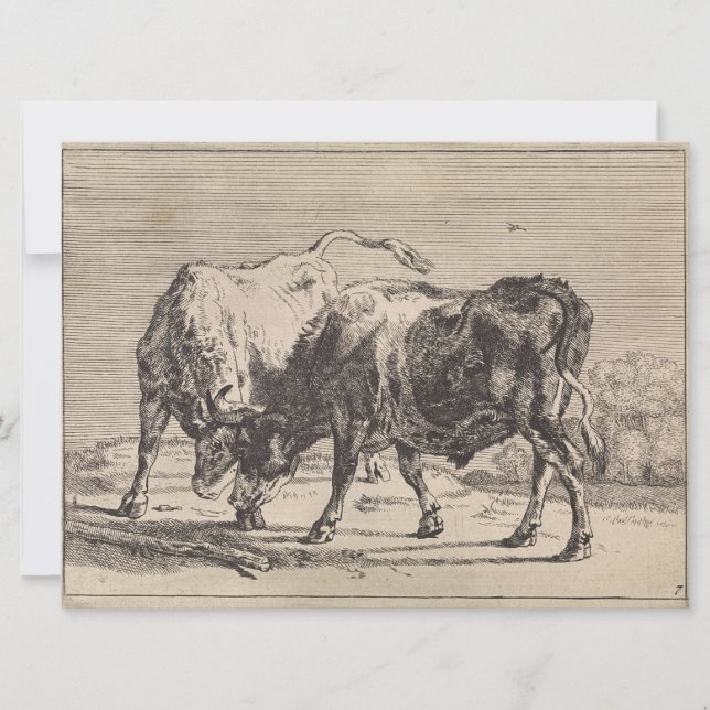 Cartão Dois Bulls de Combate (por Paulus Potter) (Frente)