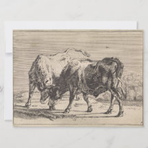 Dois Bulls de Combate (por Paulus Potter)