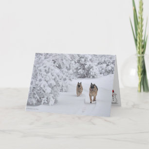 Cartão Dois cães German shepherd de resgate em neve