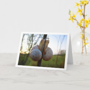 Cartão Dois caracóis em uma placa de tronco