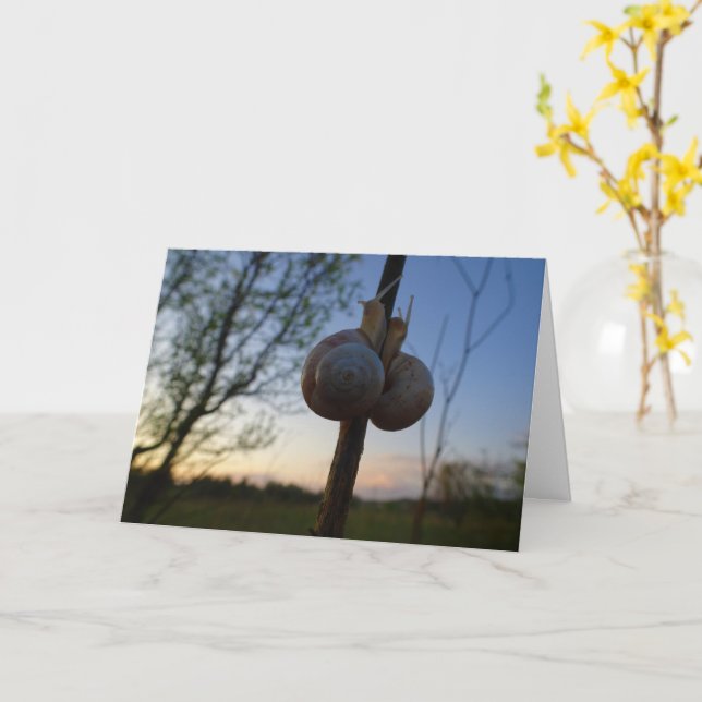 Cartão Dois caracóis em uma placa de tronco (Flor Amarela)