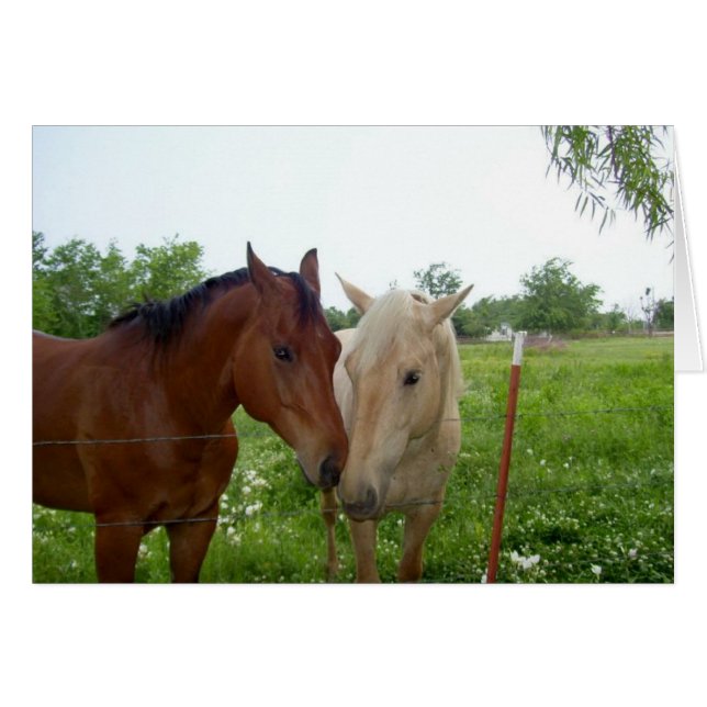 Cartão Dois Cavalos - Dentro Vazio (Frente Horizontal)