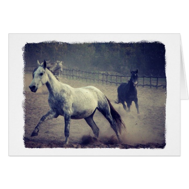 Cartão Dois Cavalos, Todos os Casos (Frente Horizontal)