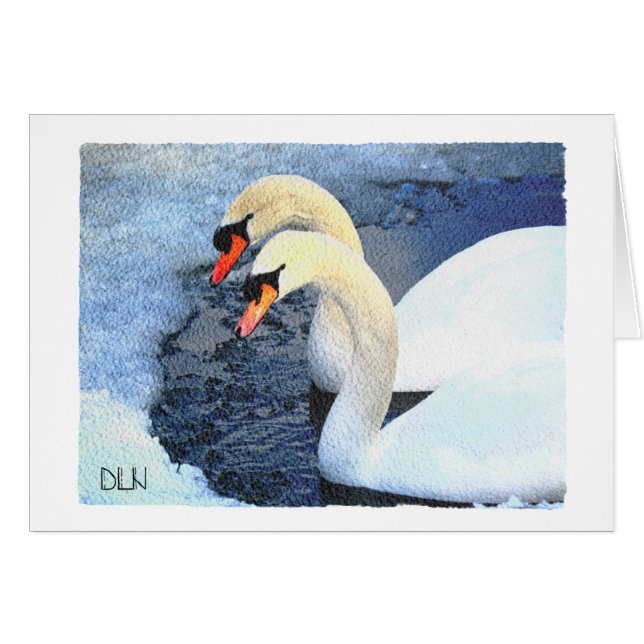 Cartão Dois Cisnes Brancos/ Vida Selvagem/Aparência (Frente horizontal)