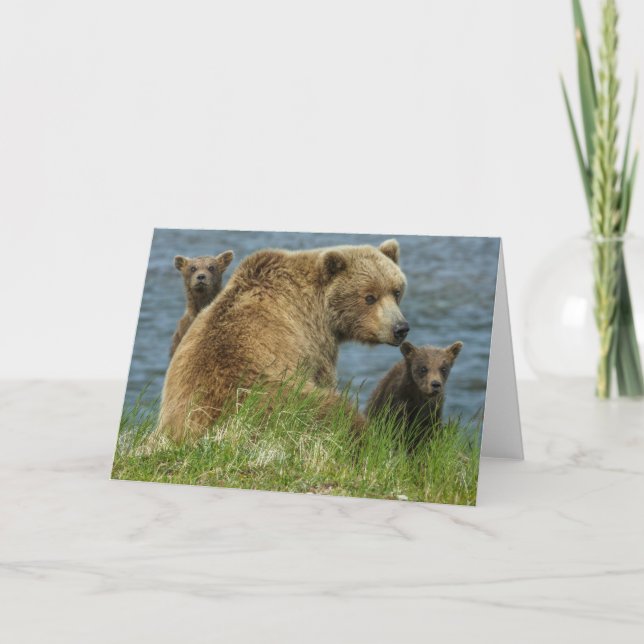 Cartão Dois Cubos de Urso Marrom com a Mãe na Água (Frente)