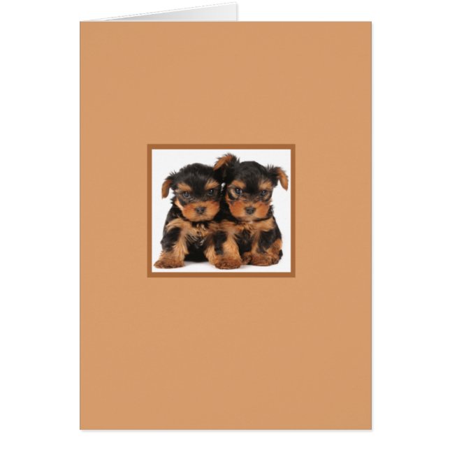 Cartão Dois filhotes de cachorro (Frente)