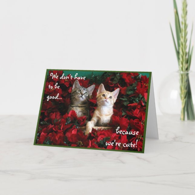 Cartão Dois Gatinhos Cons e Poinsettias Vermelhas (Frente)