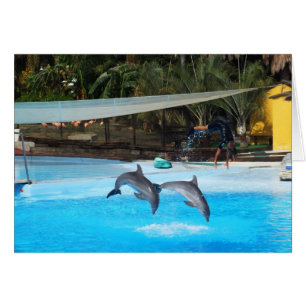 Cartão Dois golfinhos