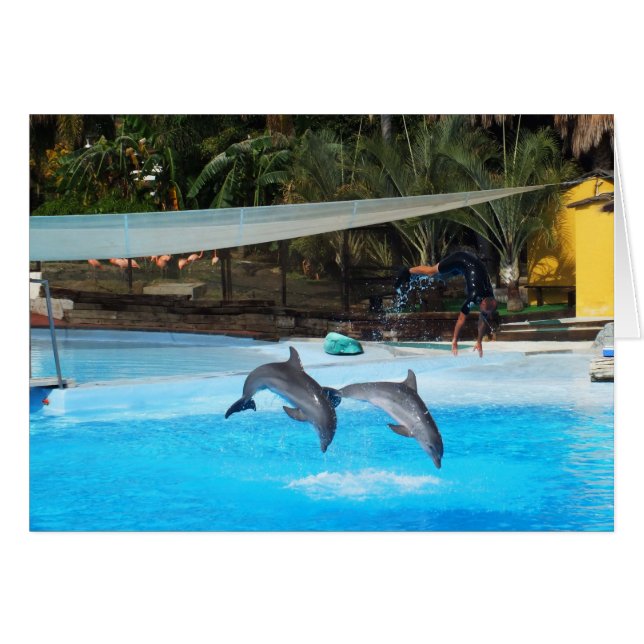 Cartão Dois golfinhos (Frente Horizontal)