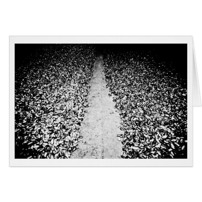 Cartão dois lados do cacau (Frente Horizontal)