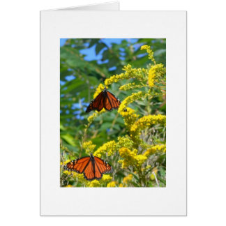 Cartão Dois monarca