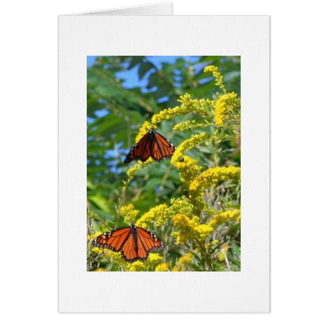 Cartão Dois monarca (Frente)