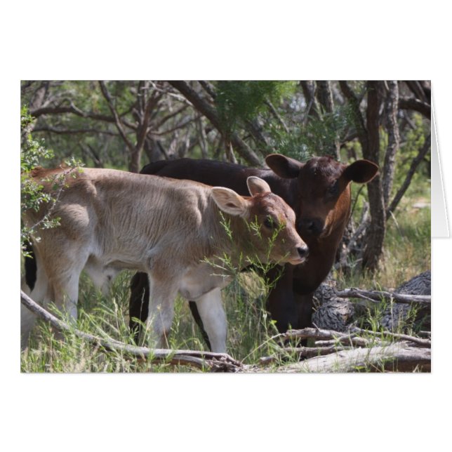 Cartão Dois Novos Bebês na Fazenda (Frente Horizontal)