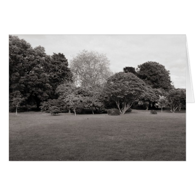 Cartão Dois para a alegria (Toned BW quente) (Frente Horizontal)