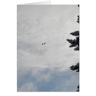 Cartão Dois pássaros que voam altamente