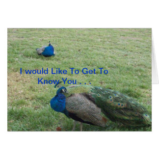 CARTÃO DOIS PAVÕES BONITOS