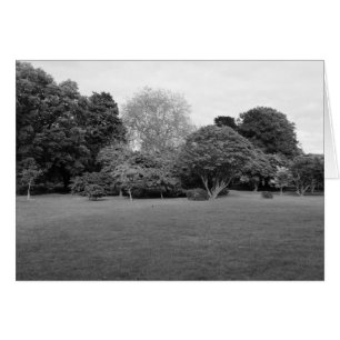 Cartão Dois pela Joy