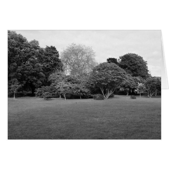 Cartão Dois pela Joy (Frente Horizontal)