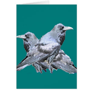 Cartão Dois presentes da cerceta dos corvos