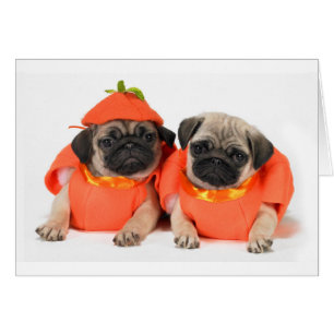 Cartão Dois Pugs