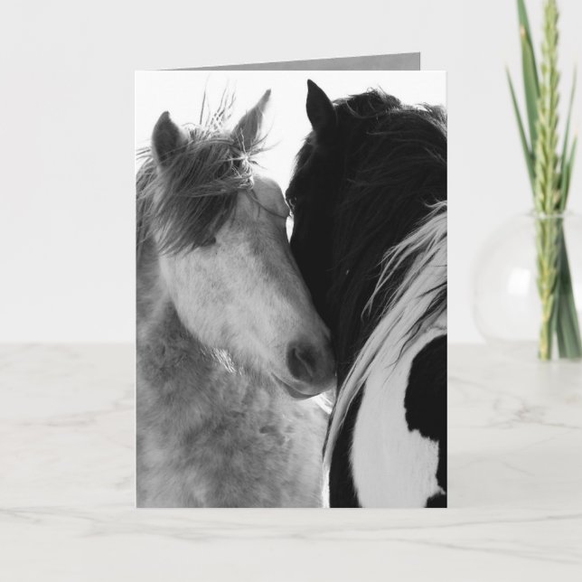 Cartão Dois Stallions Wilse Horse Greeting Card (Frente)