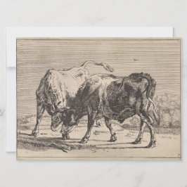 Cartão Dois Touro Lutando (por Paulus Potter)