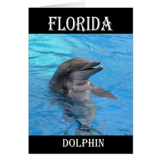 Cartão Dolphin da Flórida (Frente)