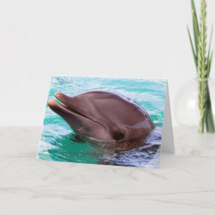 Cartão Dolphin Design Greeting Card