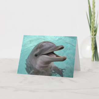 Cartão Dolphin Greeting Card