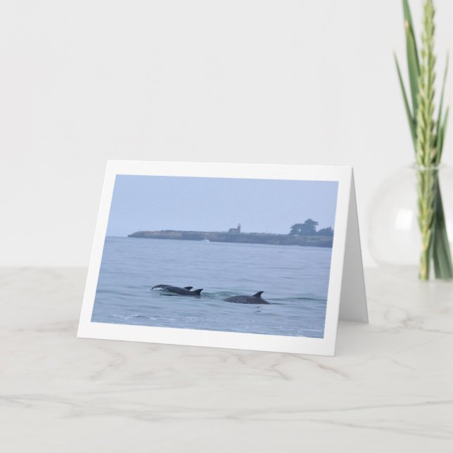 Cartão Dolphins at The Lighthouse-Blank Greeting Card (Frente)