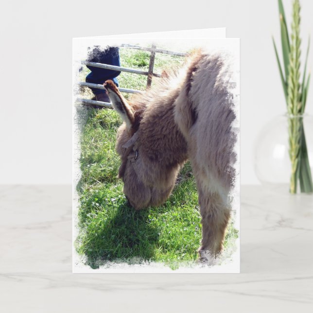 Cartão Donkey (Frente)