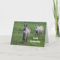 Donkey Brown Tan Animal Photo Sympathy