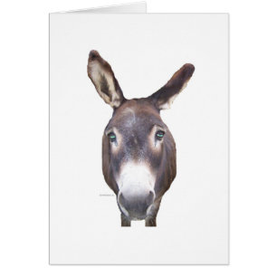 Cartão Donkey No Seu Rosto