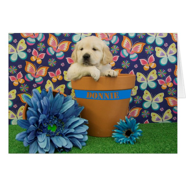 Cartão Donnie, foto da semana 5 (Frente Horizontal)