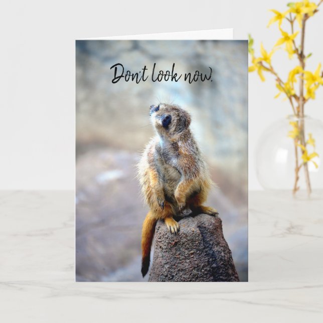 Cartão Don't look now - Birthday Card (Flor Amarela)