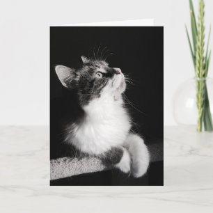 Cartão Don't Quit Dreaming Card