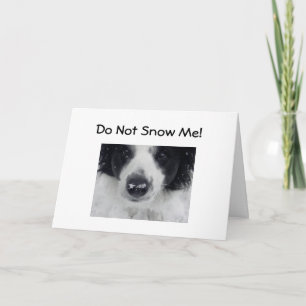 Cartão DON'T SNOW ME-50th BIRTHDAY HUMOR