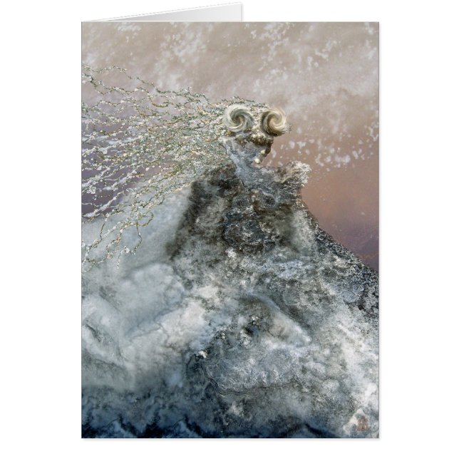 Cartão Donzela Enchanted do gelo (Frente)