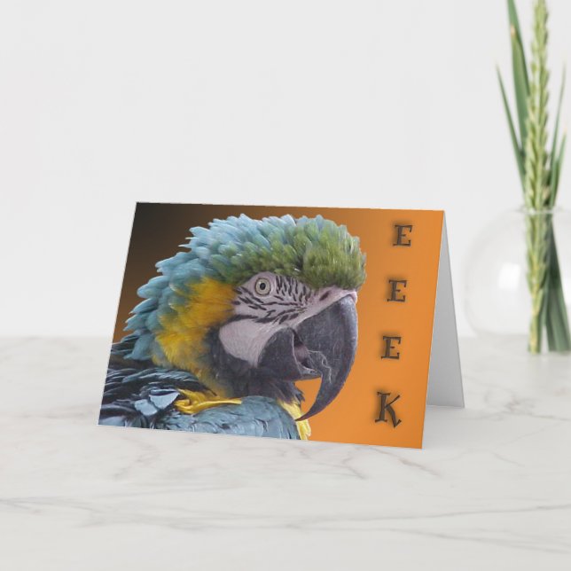 Cartão Doorbell (Frente)