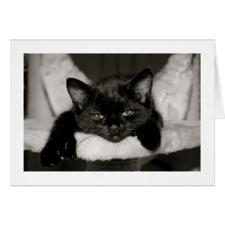 Cartão Dormir Comigo