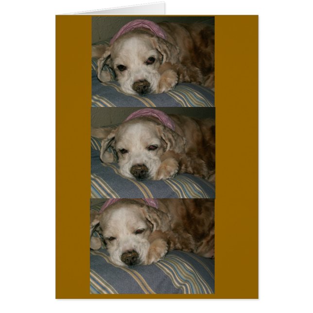 Cartão dormir em seattle (Frente)