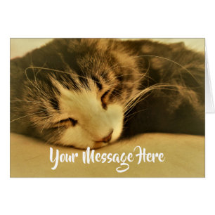 Cartão Dormir Sepia Cat Napping