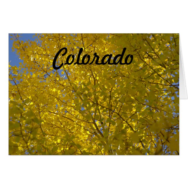 Cartão dos álamos tremedores (Frente Horizontal)