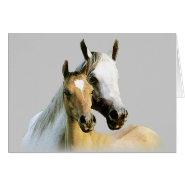 Cartão dos amigos do cavalo (Frente Horizontal)