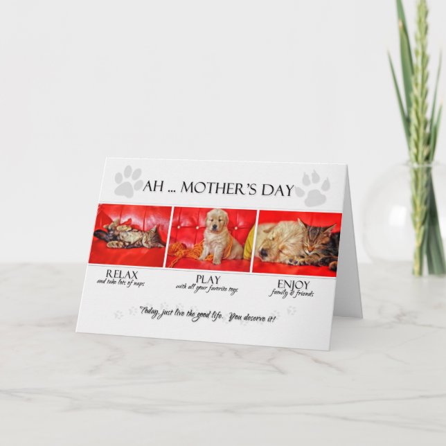 Cartão dos animais de estimação do gatinho e da papoila d (Frente)