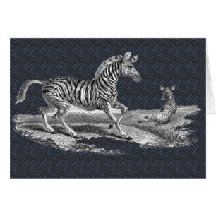 Cartão dos animais selvagens da zebra e do potro