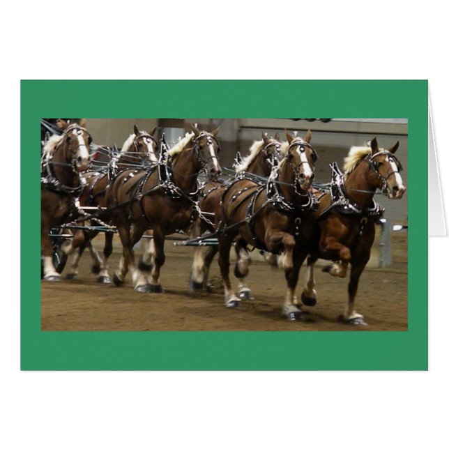 Cartão dos belgas (Frente Horizontal)