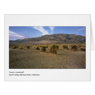 Cartão Dos "campo de milho diabos "